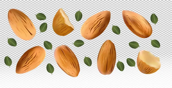 Mandelnüsse mit grünem Blatt auf transparentem Hintergrund. Mandelfliegen aus verschiedenen Blickwinkeln. 3D realistische Nüsse reich an Vitaminen. Naturprodukt. Vektorillustration — Stockvektor