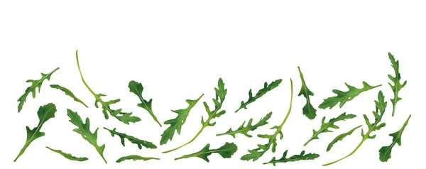 Set frisch gepflückte Rucolablätter. Einzelnes Blatt auf weißem Hintergrund. Arugula reich an Vitaminen, natürlichen Produkten. 3D realistischer Rucola mit Kopierplatz für Ihren Text. Veganes Konzept. Illustration.. — Stockfoto