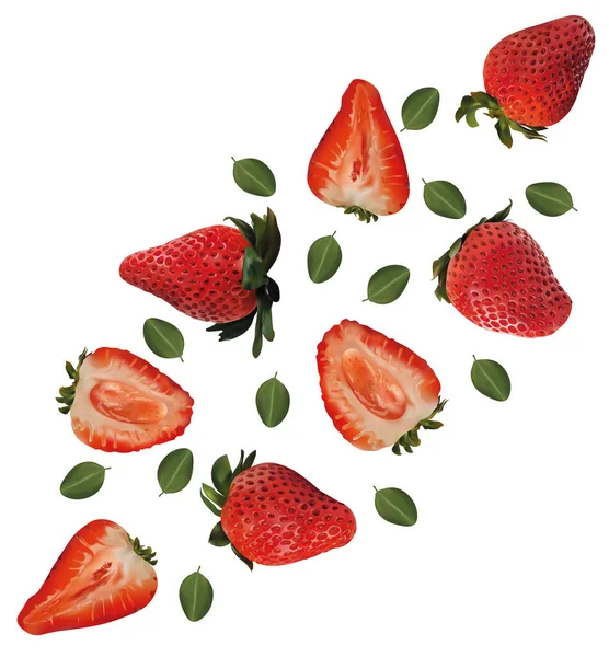 Conjunto de morangos com folhas sobre fundo branco. Os frutos de morango são inteiros e cortados ao meio. Morangos frescos maduros úteis ricos em vitaminas, produto natural. Ilustração realista . — Fotografia de Stock
