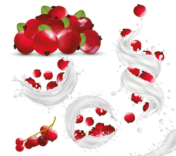 Realistisk mjölkstänk med röda vinbär. Färsk yoghurt. Ett annat stänk. Mjölkcocktail. 3D-illustration. — Stockfoto