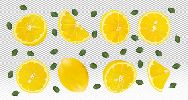 Conjunto de limão fresco com folhas verde.Queda de limão sobre fundo transparente. Limão rico em vitaminas C. As frutas de limão voadoras são inteiras e cortadas ao meio. Ilustração vetorial . — Vetor de Stock