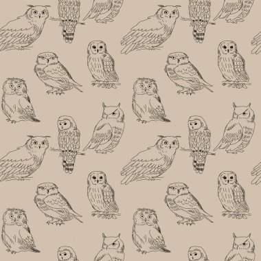 Baykuşlar farklı türlerin Dikişsiz şirin desen