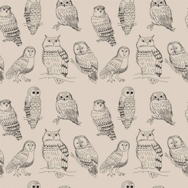 Sevimli çizgi baykuşlar darbeleri ile Seamless Modeli
