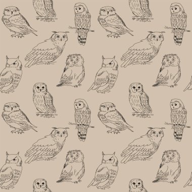 Şirin seamless modeli ile farklı yabani kuşlar