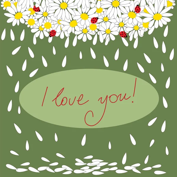 데이지와 ladybirds 축제 발렌타인의 날 인사말 카드 — 스톡 벡터