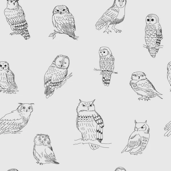 Owl Engravingストックベクター ロイヤリティフリーowl Engravingイラスト ページ 7 Depositphotos