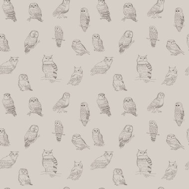 Şirin seamless modeli ile farklı orman baykuşlar
