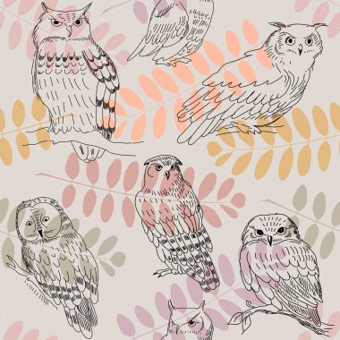 Akasya şube ve vahşi baykuşlar ile Seamless Modeli