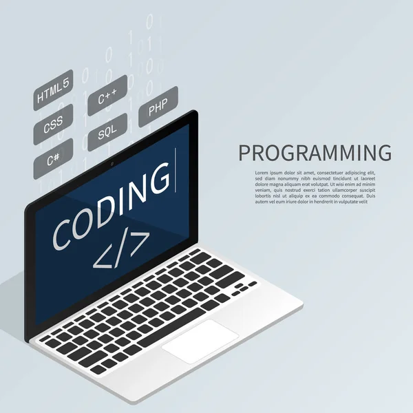 Programmeur Codage Binaire Ordinateur Isométrique Plat Vecteur — Image vectorielle
