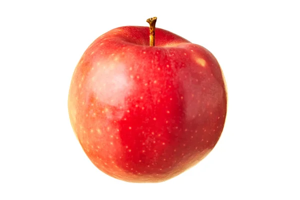 One Whole Fresh Red Apple Isolated White Background Shadow Close — 스톡 사진