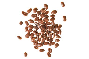 Birçok dağınık yer fıstığı gölgesiz beyaz arka planda izole edilmiş. Üst görünüm