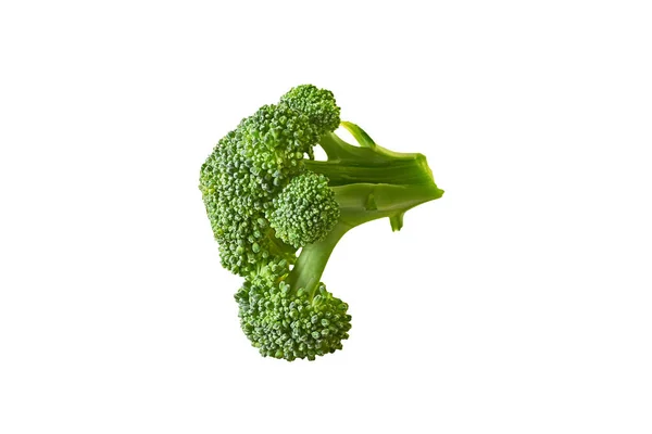 Une Branche Brocoli Vert Frais Isolé Sur Fond Blanc Sans — Photo