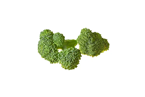 Zwei Zweige Frischen Grünen Brokkoli Isoliert Auf Weißem Hintergrund Ohne — Stockfoto