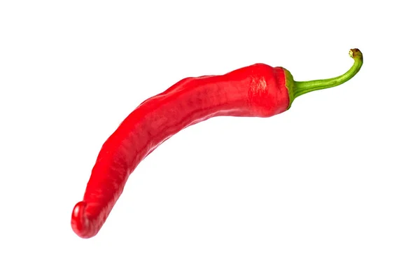 One Whole Raw Ripe Fresh Red Hot Chilli Pepper Ingredient — Stock Photo, Image