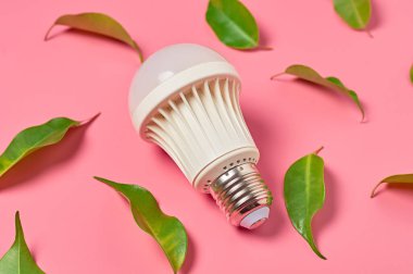 Pembe arka planda ampul ve dağınık yeşil yapraklar. Tasarruf ve alternatif enerji kavramı. Yakın plan.