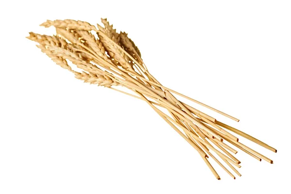 白い背景に影のない生産小麦粉やベーキング製品のための多くの穀物と熟した小麦の一つの美しい束 — ストック写真