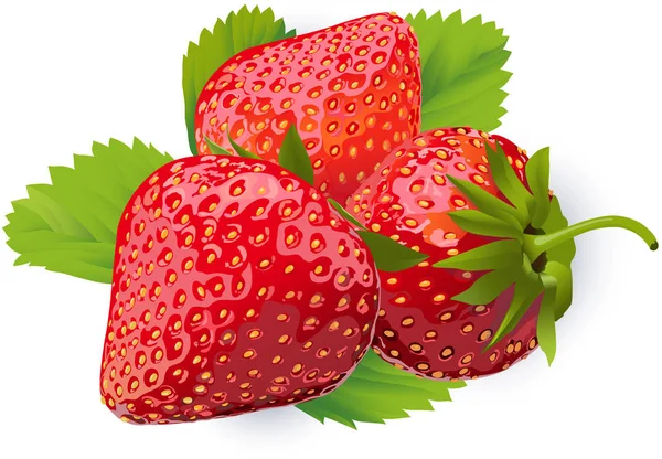 Fragole Intere Con Foglie Cibo Sano Illustrazione Arredamento Tessuto Bacche — Foto Stock