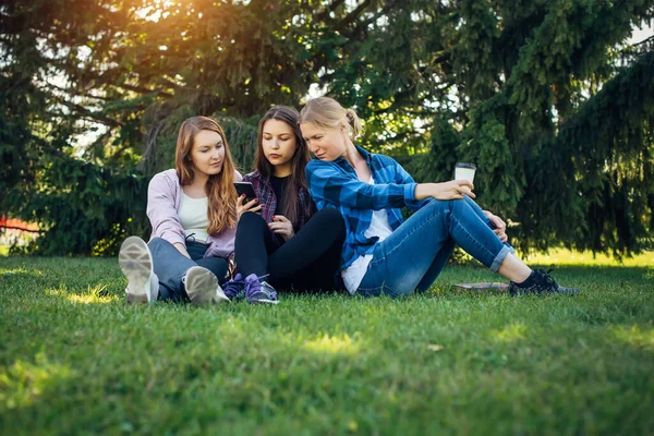 Three cute girls relax and socialize on the lawn in summer park. Young women sit on the green grass among the trees and look into the smartphone. Students in between classes outdoor, close up.