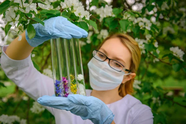 Female scientist wearing glasses, mask and gloves with test tubes in her hands studies the properties of plants against flowering tree. Creation of natural cosmetics, herbal medicine, perfumes.