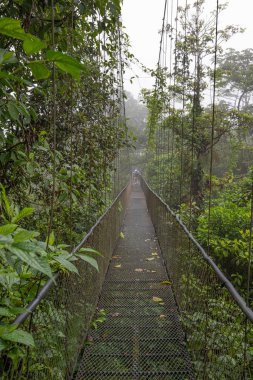 Yağmur Ormanı, Kosta Rika 'da Askıya Alınmış Köprü