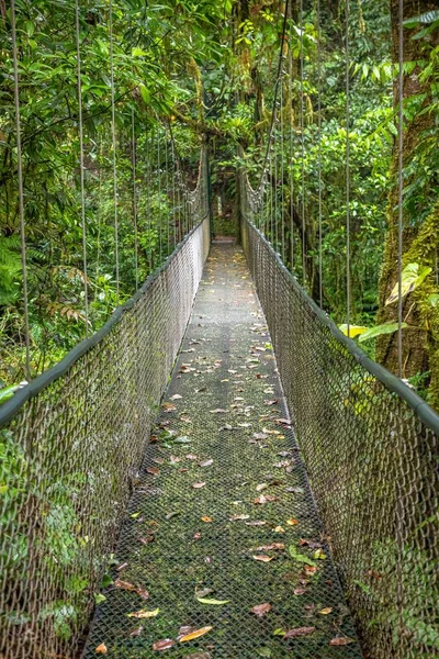 Puente colgante en la selva tropical, Costa Rica — Foto de Stock