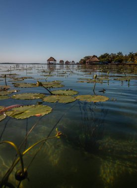 Laguna de Bacalar, Meksika 'nın Bacalar şehrinde bulunan Yedi Renk Gölü olarak da bilinir. Kristal berrak sular ve gölün beyaz kumlu tabanı su renginin gün boyunca değişen turkuaz, mavi ve derin çivit renklerine dönüşmesine neden olur.