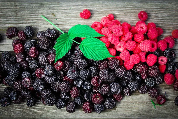 A female hand takes a red currant from a plate with berries on a white background. Black and red currants and raspberries. Next to a black and white checkered cloth. Top view, flat lay — Stock Photo, Image