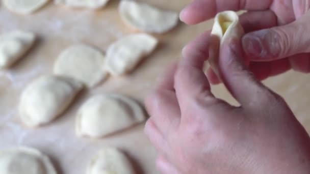 Женщина на кухне готовит деликатные пельмени и вареники — стоковое видео