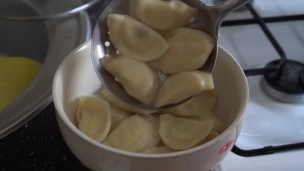 The national dish dumplings are just cooked on the gas stove — Stock Video