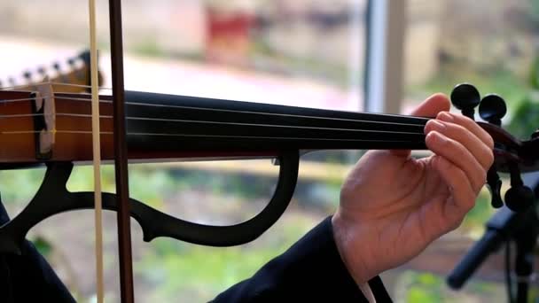 Musician playing electric violin. Close-up male musician playing black electric violin. — Stock Video