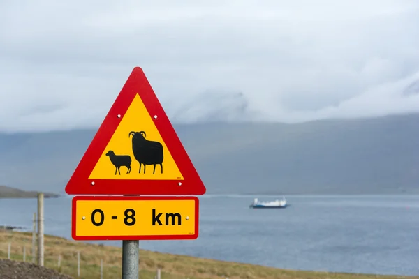 Sheep on the road roadsign in Iceland