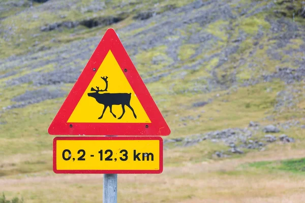 Raindeer on the road warning sign — Stock Photo, Image