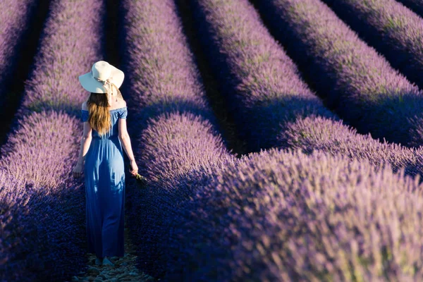 Menina Chapéu Branco Com Uma Cesta Andando Por Campos Lavanda — Fotografia de Stock