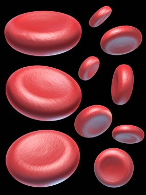 Kırmızı kan hücreleri siyah arkaplanda izole edildi