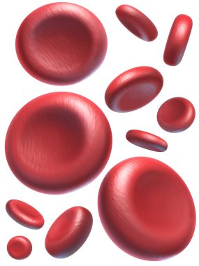 Beyaz zemin üzerinde izole kırmızı kan hücreleri