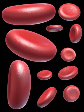 Kırmızı kan hücreleri siyah arkaplanda izole edildi