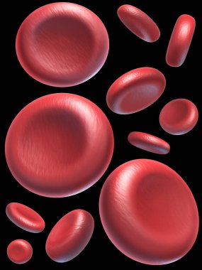 Kırmızı kan hücreleri siyah arkaplanda izole edildi