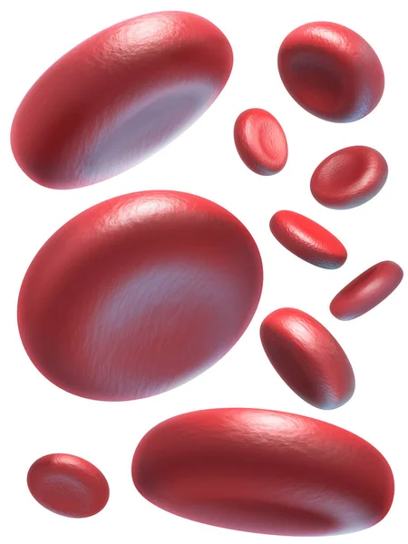 Rode Bloedcellen Geïsoleerd Witte Achtergrond — Stockfoto