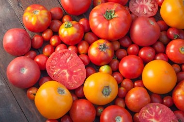 Renkli domateslerin çeşitli çeşitleri 