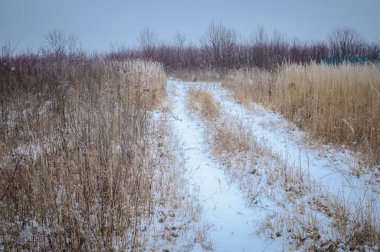 donmuş ot ve zemin frost kış arka planda