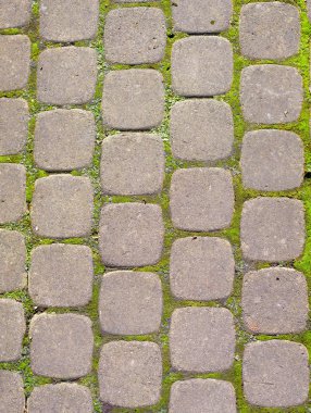 yolda kaldırım taşları