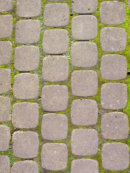 Paving stones on road — Stock Photo, Image