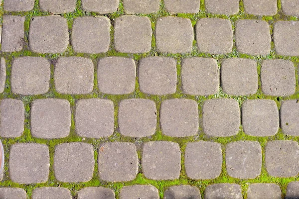 Paving stones on road — Stock Photo, Image