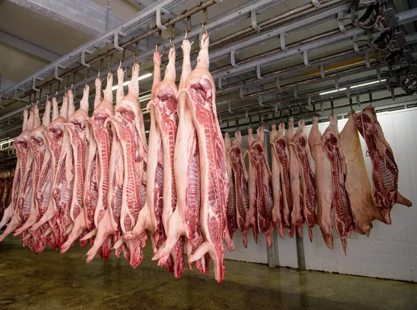 Armazenamento de carne de porco geladeira — Fotografia de Stock