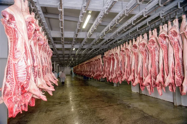 Buzdolabı domuz eti depolama