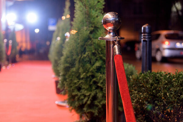 evening red carpet ceremony