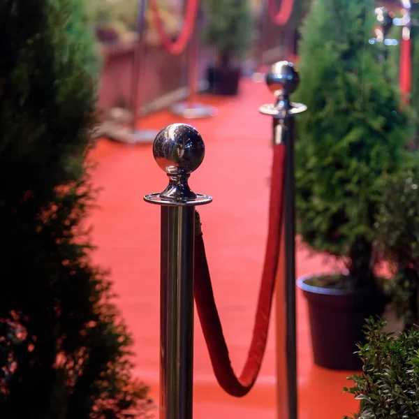 Noche alfombra roja ceremonia —  Fotos de Stock