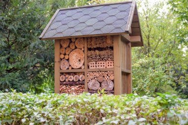Yaz bahçesindeki doğal malzemelerden yaratılan böcek oteli.