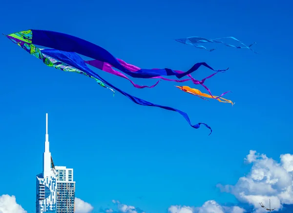 Kites in the clear blue sky in a free flight. — Stock Photo, Image