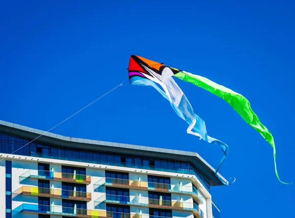 Kites in the clear blue sky in a free flight. — Stock Photo, Image